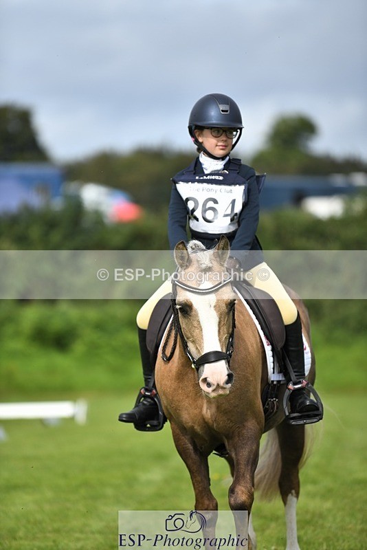 230826-102230-15455 - Sections C & D 10 to End