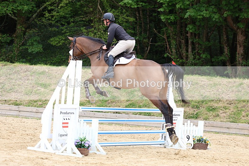 3E7A6351 - Class 4: Senior British Novice/90cm open