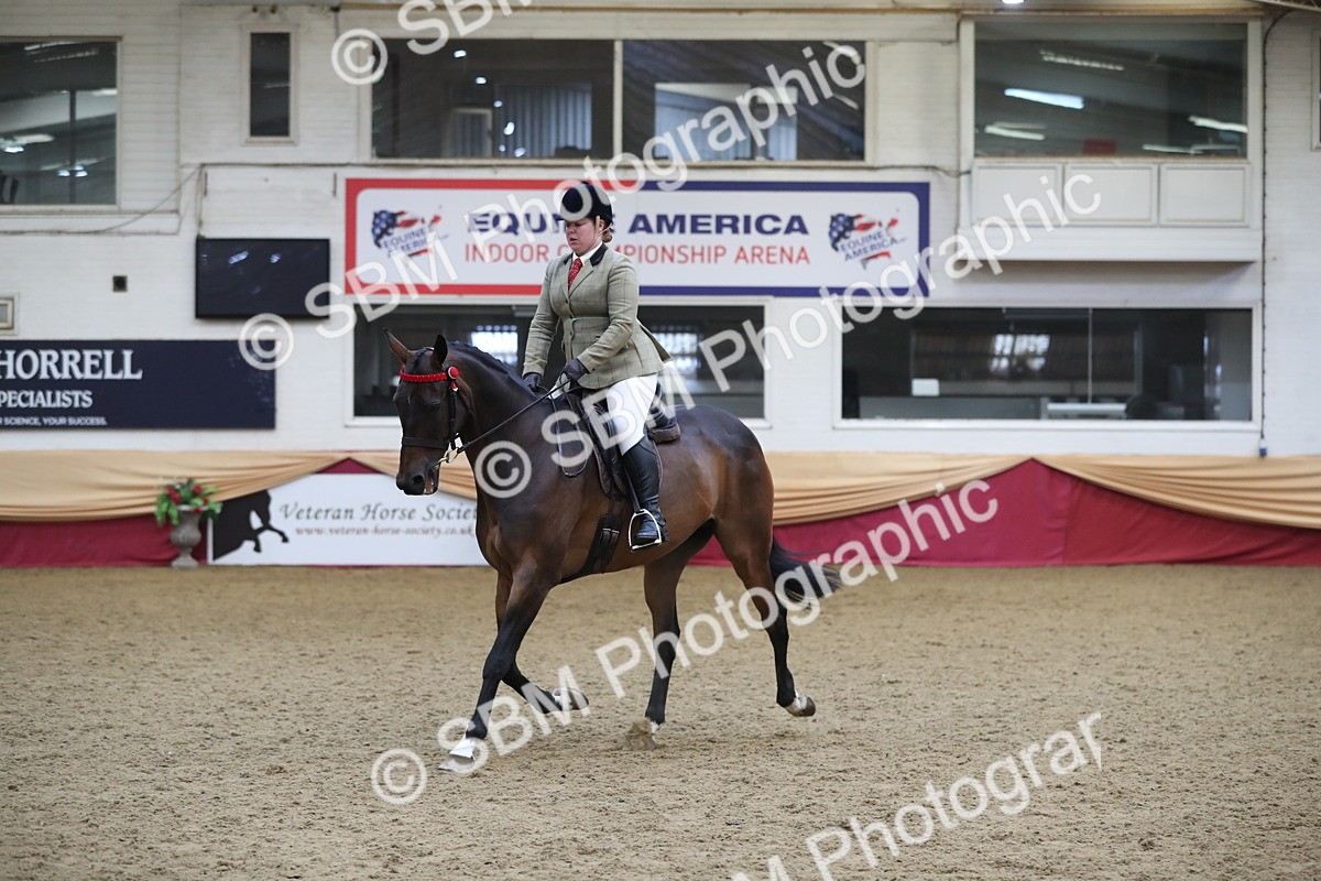 SBM_12338 - Class 108 Ridden Retired Racehorse- Pre Judging