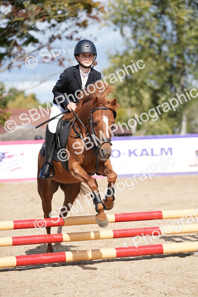 SBM_18116 - J58 - Clear Round 50cm