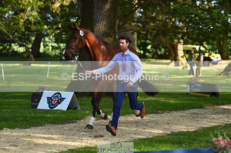 230524-172306-01477 - 180-GUEULE_DE_REVE-Arthur_Duffort-WEDTrotUp+DR