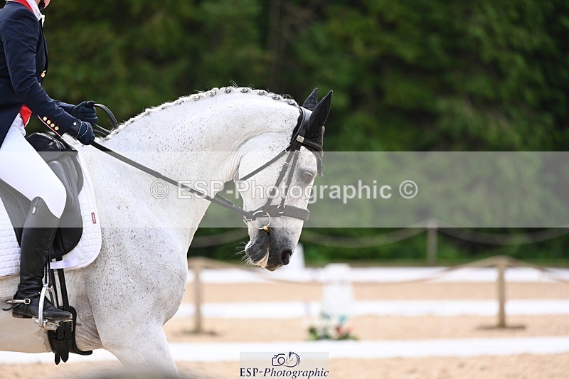 240524-102415-08102 - 416-CRISTAL_FONTAINE-Kitty_King