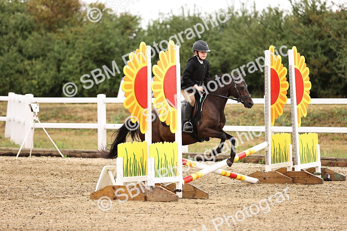 SBM_000112 - Class 2 - 50cm