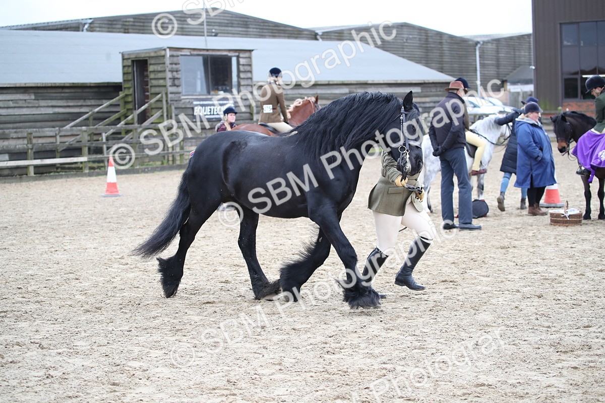 SBM_006410 - Class 10-13 - RIHS Small Large Breeds