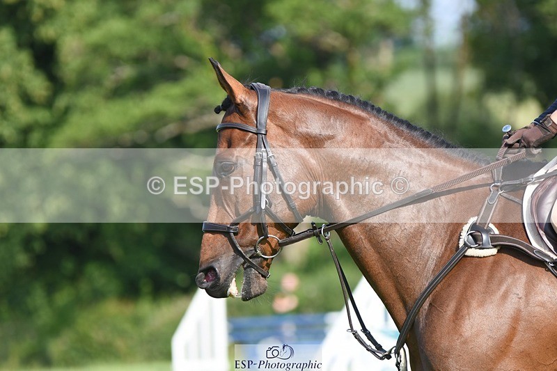 230625-090252-00022 - SJ 90cm 9.00 to 10.00