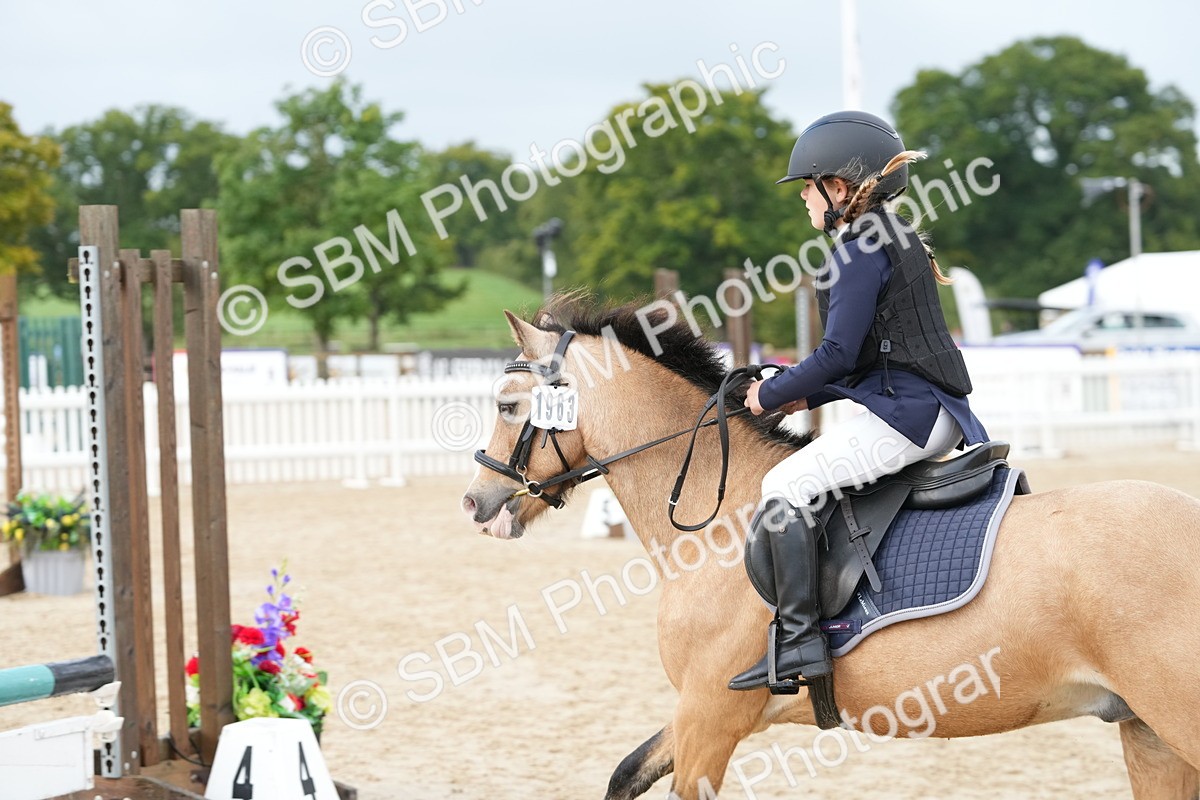 SBM_32343 - J5 - Junior Pony 50cm Championship
