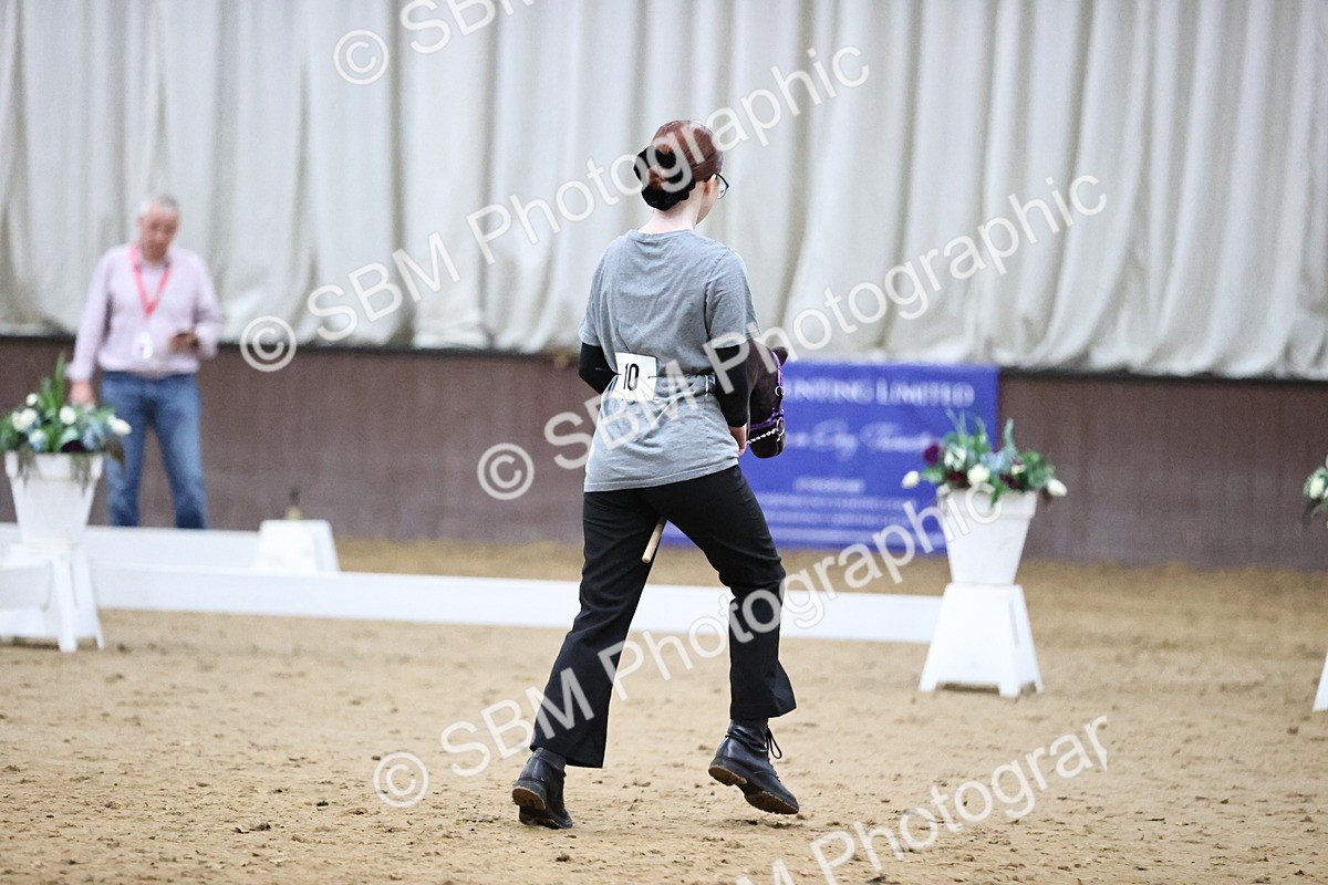 SBM_003383 - Class 13 - Dressage