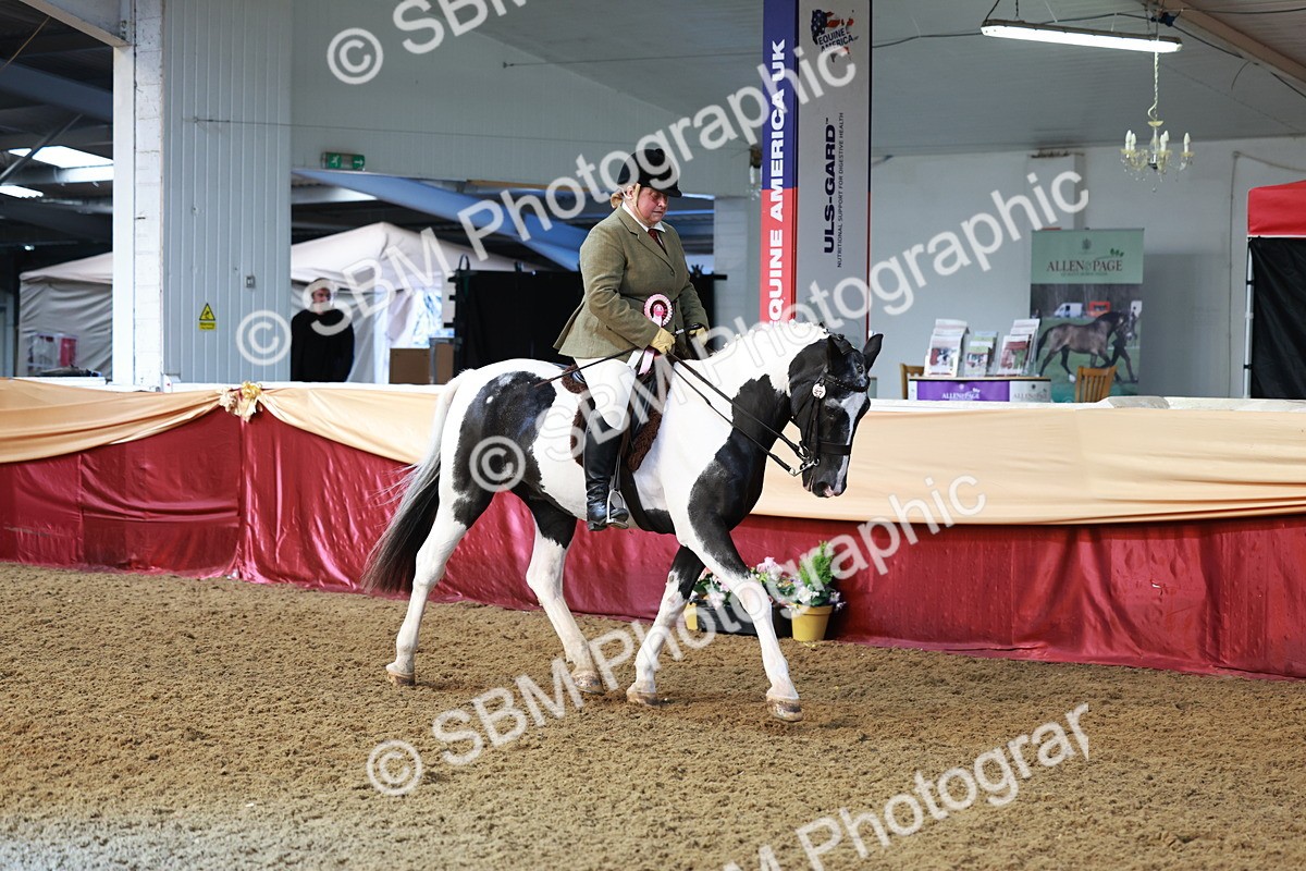 SBM_12022 - Class 102 - Equitation (Best Rider) Adult