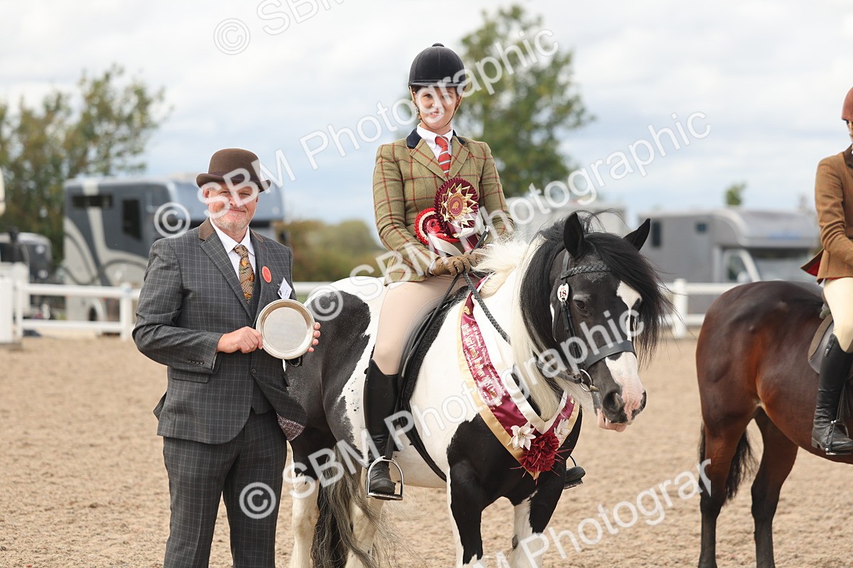 SBM_18067 - Class 314 - Family Horse Pony