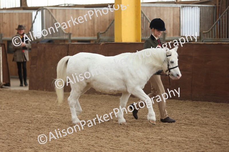 20251109-0545 - Class 21 - Mares 4 Years and over