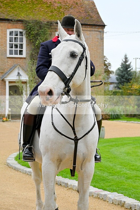 WJ7_5877 - Berks & Bucks - Children's Meet - The Old Farmhouse – Steventon.