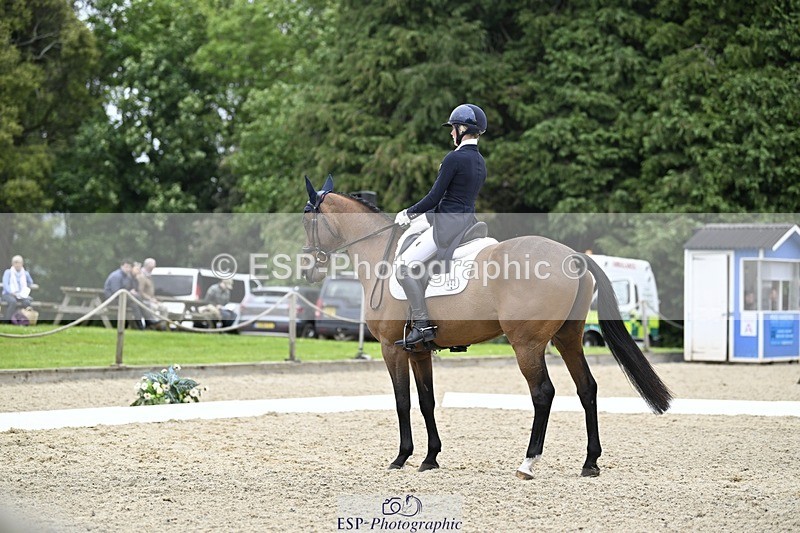 240523-145242-05129 - 442-FERNHILL_ZORO-Cassie_Sanger