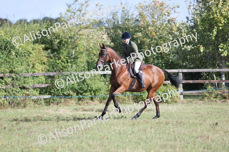 20250831-0851 - Class 14 - Ex Racehorse