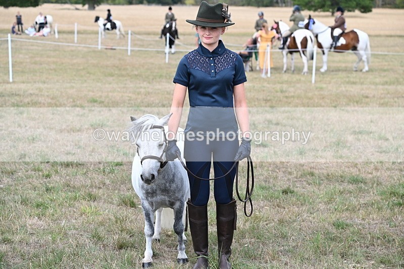 WJ6_7085 - Class 21 Shetland & Mini Horses