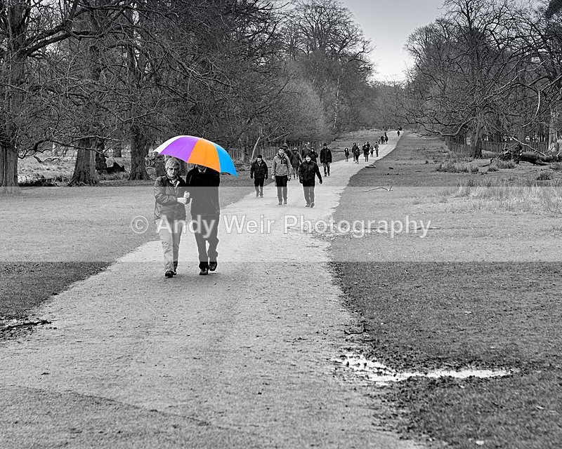 20151231-3K8A2662-3922 - Miscellaneous Photographs