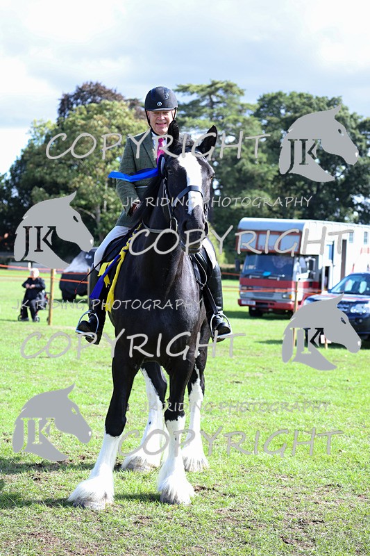 APP_3752 - Class 8 Ridden Class