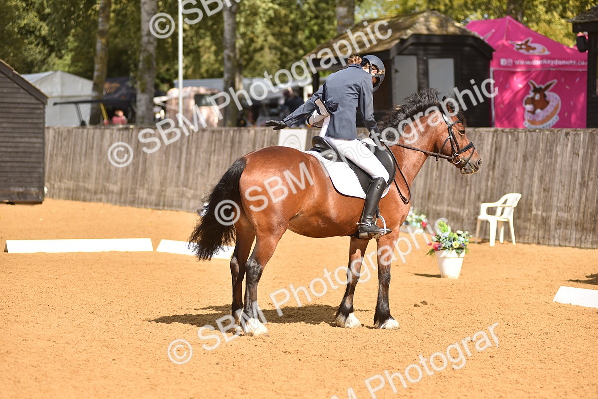 SBM_07811 - D15 - Small Tour Championship Novice 1