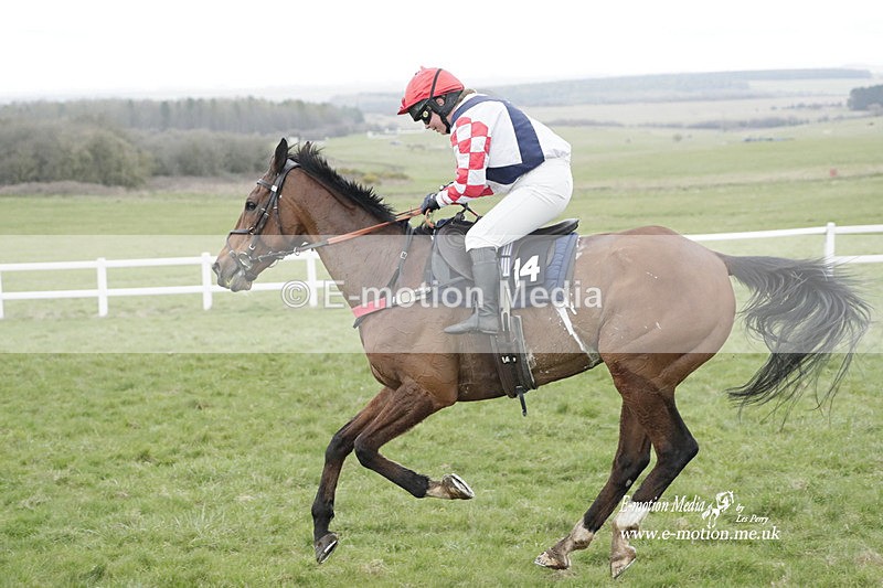 PtP 260323 0601 - New Forest Hounds Point-to-Point Larkhill 26/03/23