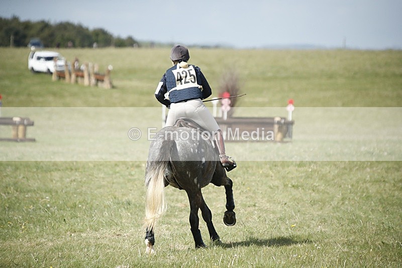 BVHT 140517  NXC -578 - Class 2 XC Novice 14/05/17