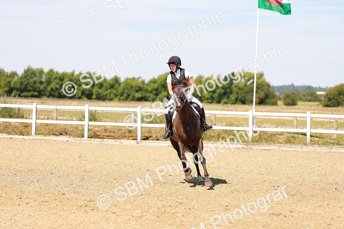 SBM_000998 - AE - 60cm