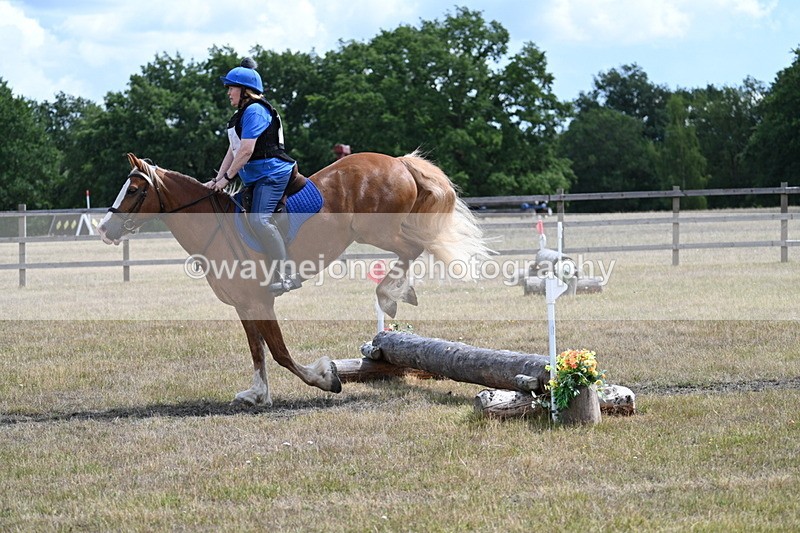 WJ7_0600 - 40cm Time 12:10 to 12:20