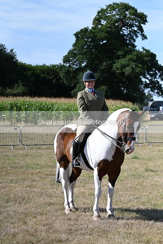 WJ7_3151 - Class 8 Ridden Tack & Turnout