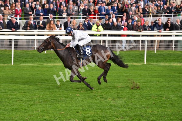 yr07102022r4-36 - Race 4 3.50pm William Hill Best Odds Guaranteed Stakes