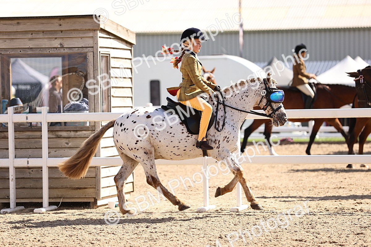 SBM_12863 - Class 409 - Grassroots Ridden - Pony