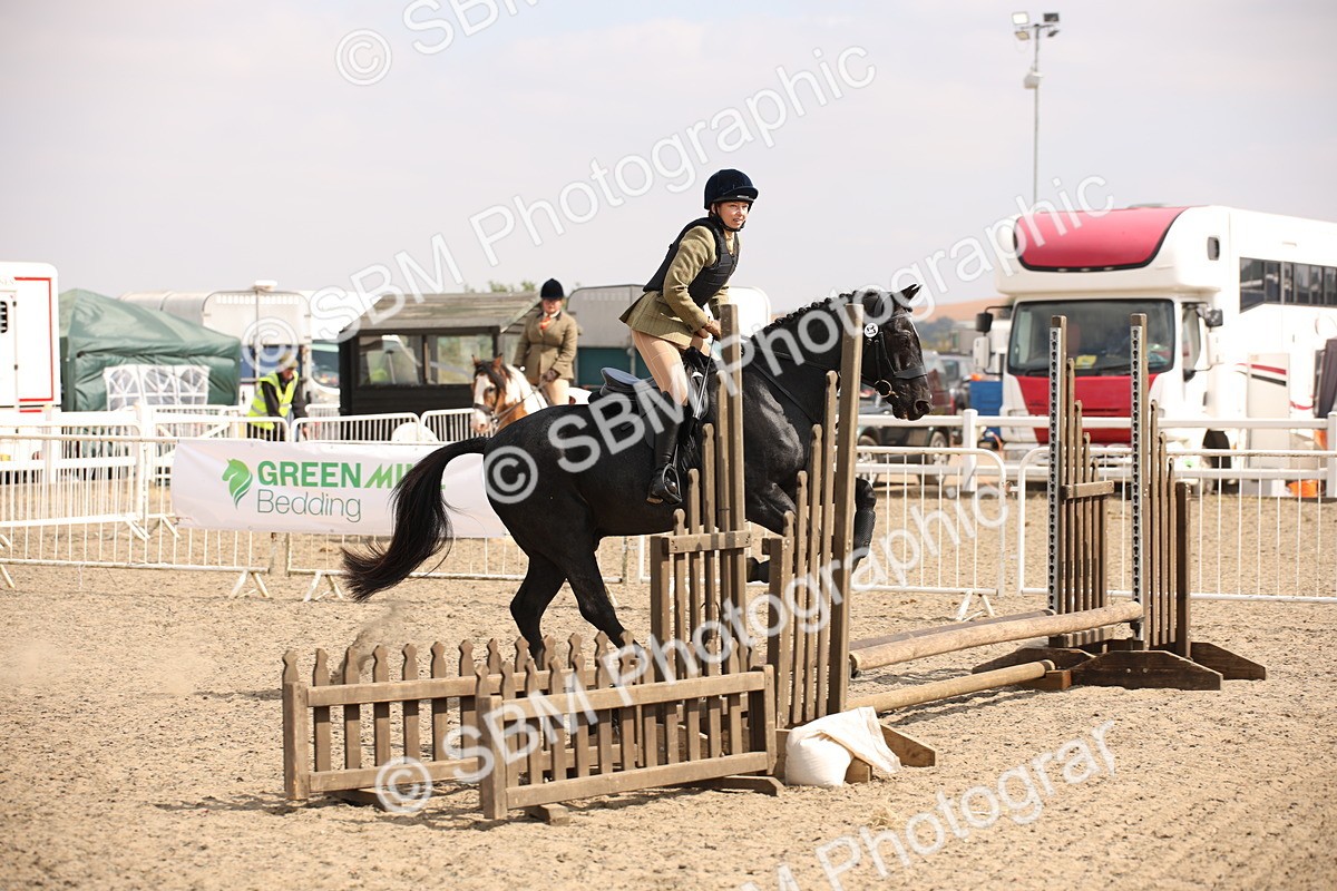 SBM_14314 - Class 407b - Working Veteran 60cm (20+)