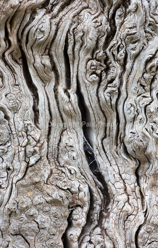 Bark landscape, aerial view, near Thorverton - Seeing the Wood AND the Trees