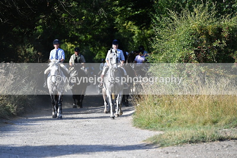 WJ5_4866 - Walk out with the hounds