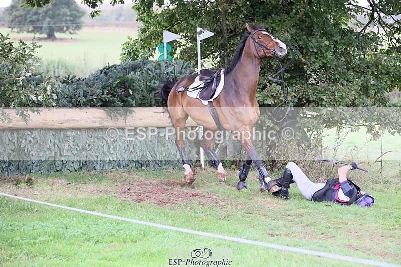 231020-134145-09148 - 105-BRIGHT.KNIGHT.III-Janet.Clarke-XC