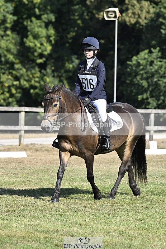 250822A-101252-20169 - DR 10.00 to 11.00