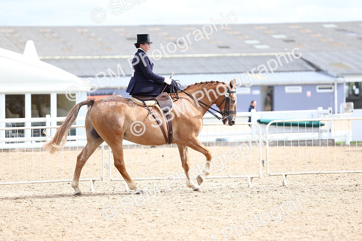 SBM_03460 - Class 24 - SSA Concours d'elegance (any age)