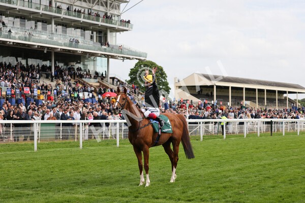 yr13052022r4-74 - Race 4 3.35pm The Paddy Power Yorkshire Cup (British Champions Series Race)