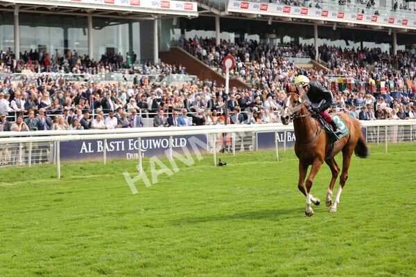 yr20082021r2-72 - Race 2 2.25pm Weatherbys Hamilton Lonsdale Cup (British Champion Series race)
