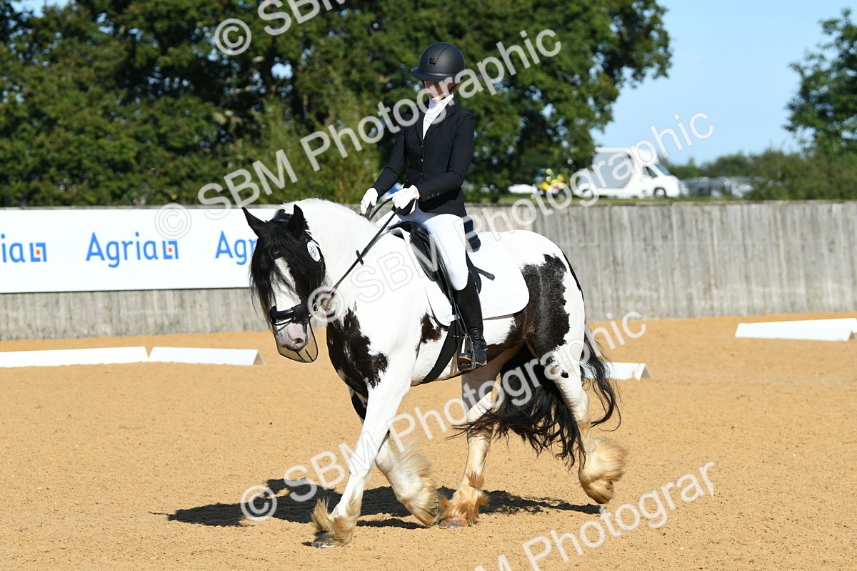 SBM_16273 - D4 - Small Tour Championship - Intro B