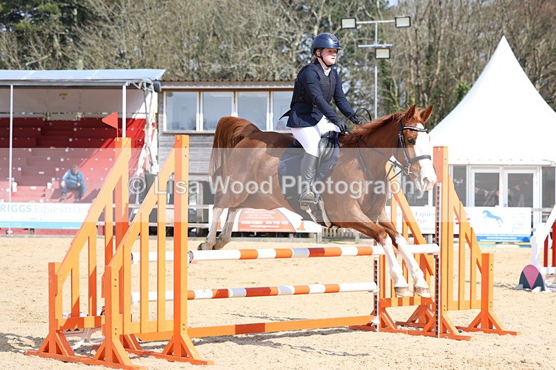 3E7A6581 - Class 4: Senior British Novice/90cm open
