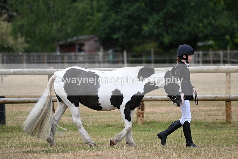 WJ6_4149 - Class 10 Coloured In-hand