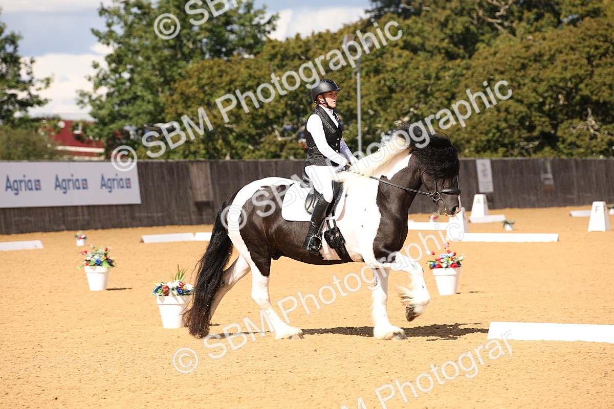 SBM_08861 - D8 Small Tour Championship Prelim 7