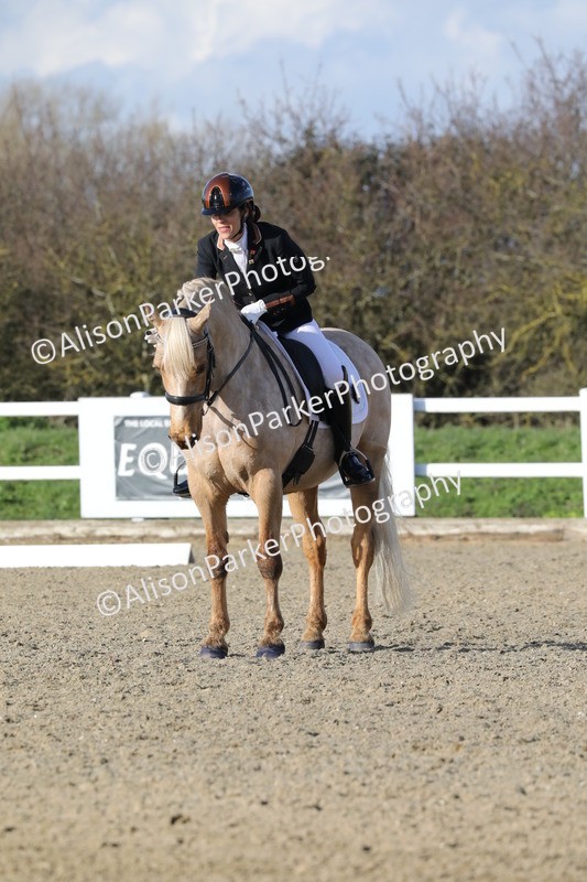 20260314-5821 - DR 7 - Elementary 1