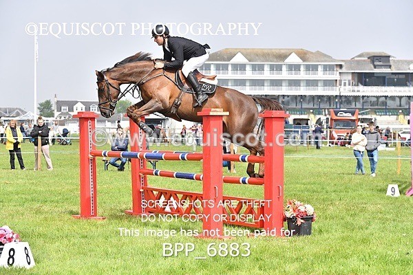 BPP_6883 - CLASS 3 RHS Fox Champ Qual (1.20m)