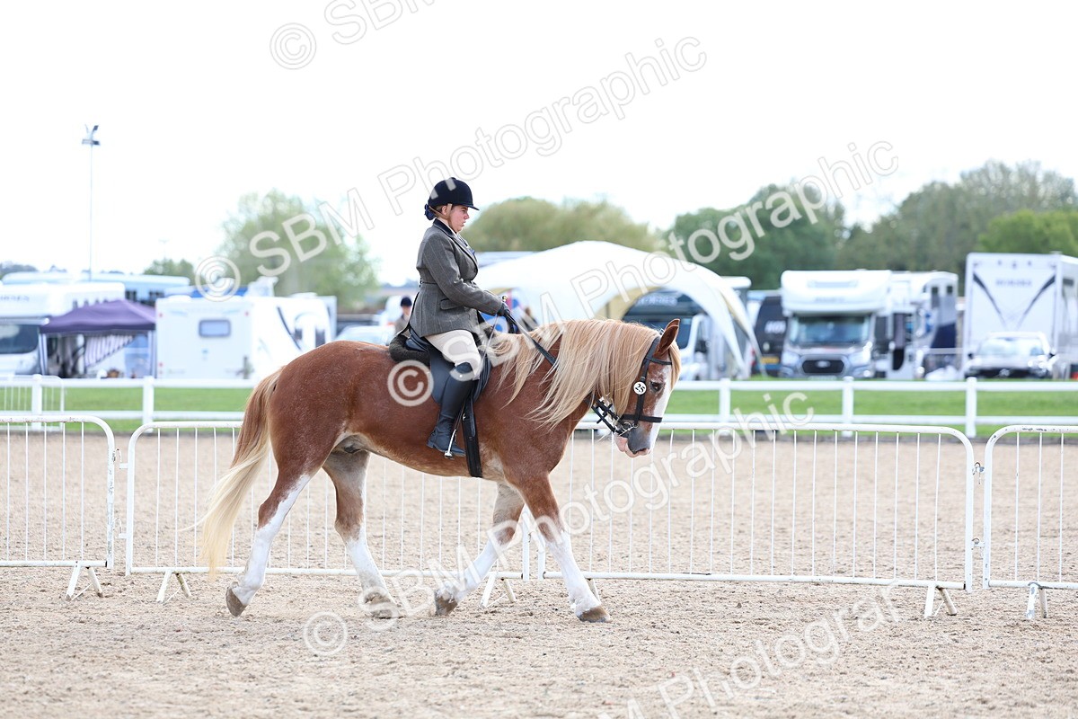 SBM_17090 - Class 315 - Best Horse - Rider Combination