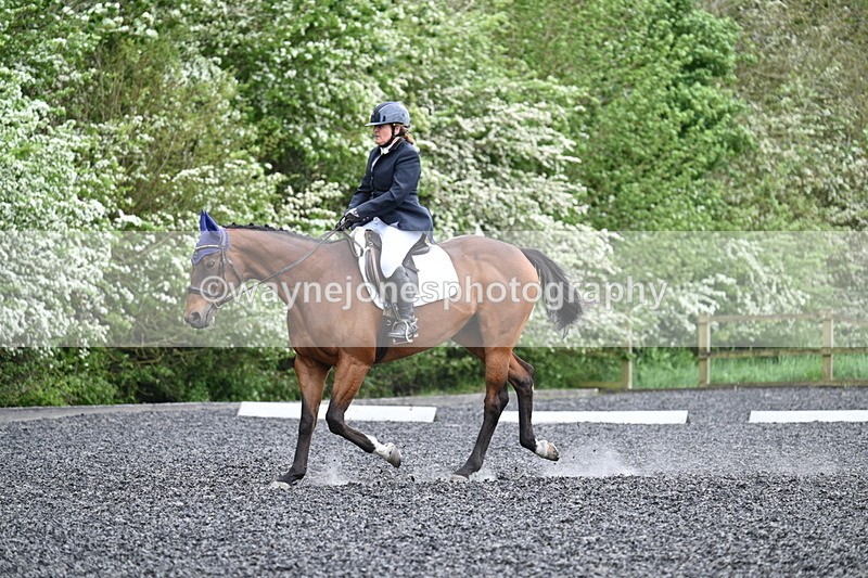 WJ7_1272 - Time 14:16 to 14:55