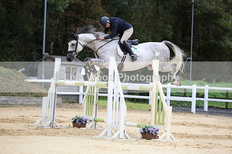 3E7A3342 - Class 9: Senior Foxhunter/1.20 open