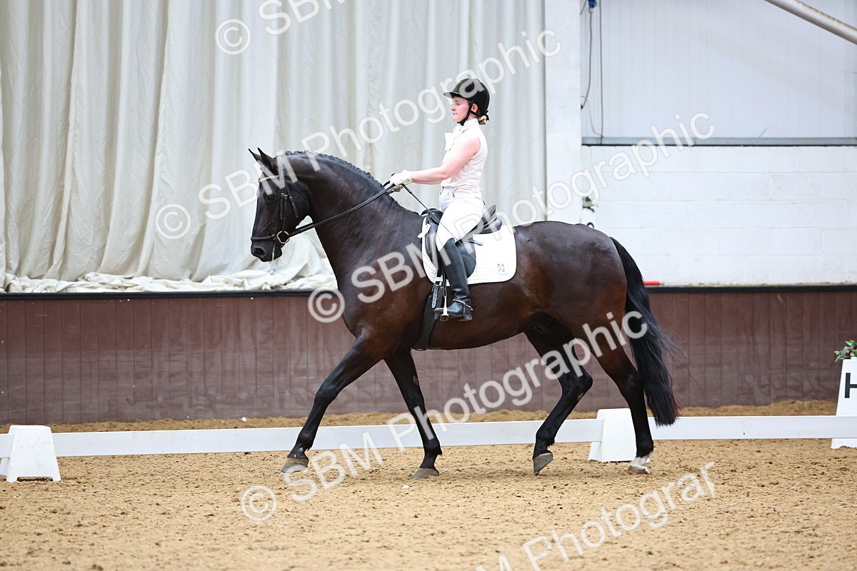 SBM_005529 - Elementary 2