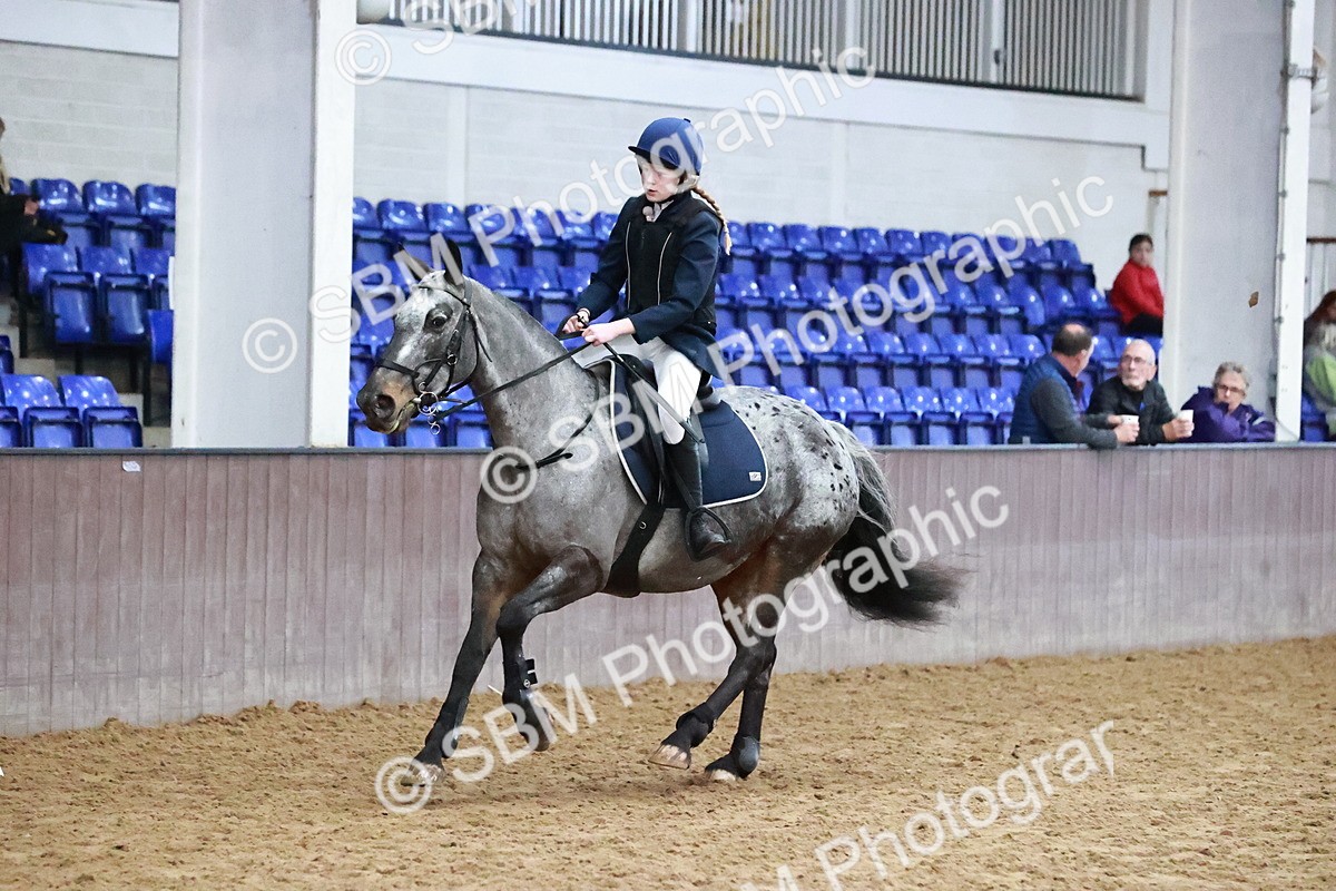 SBM_000548 - Class 2 - Show Jumping 50cm