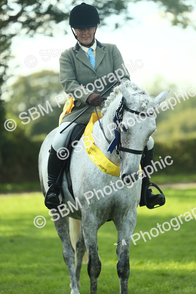 SBM_52331 - Working Hunter Supreme Championship