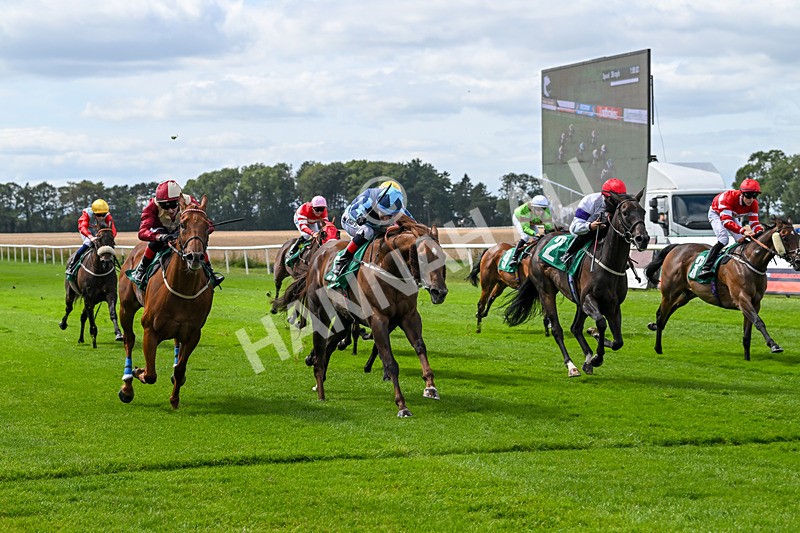 080825-Race 1-Golden Prosperity-1751 - Race 1