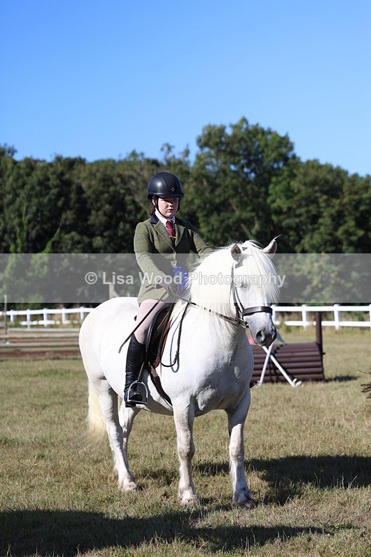 3E7A5401 - Class 2: Working Hunter 60cm